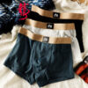 Ice Silk Huajielong (NI) New Men's Underwear